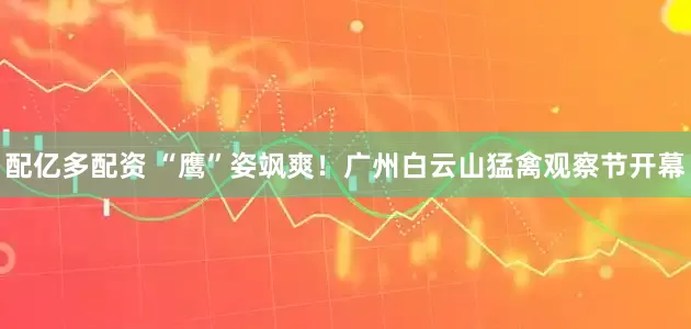 配亿多配资 “鹰”姿飒爽！广州白云山猛禽观察节开幕