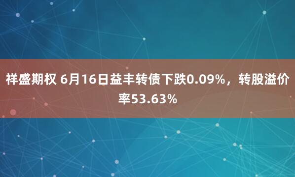 祥盛期权 6月16日益丰转债下跌0.09%，转股溢价率53.63%